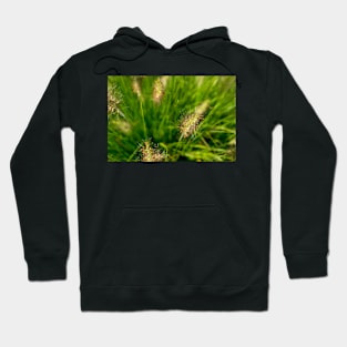 Bright spring grass field with sunlight bokeh background Hoodie